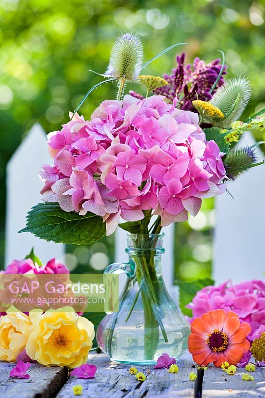 Arrangement de fleurs avec Hortensia, Dipsacus et rosa sur table de jardin.