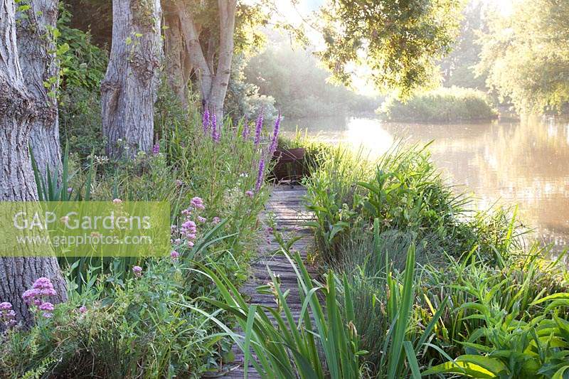 Sentier de style jetée en bois longeant le bord du lac, avec des plantations naturalisées environnantes. Bowley Farm, Sussex, Royaume-Uni.