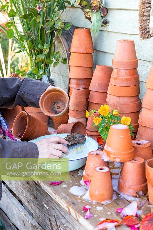 Femme lave des pots en terre cuite sale avec une brosse à récurer en bois dans un bol d'eau savonneuse.