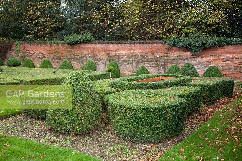 Boîte bordée coupée en formes et motifs topiaires très complexes à Castle Bromwich Hall Gardens, Royaume-Uni.