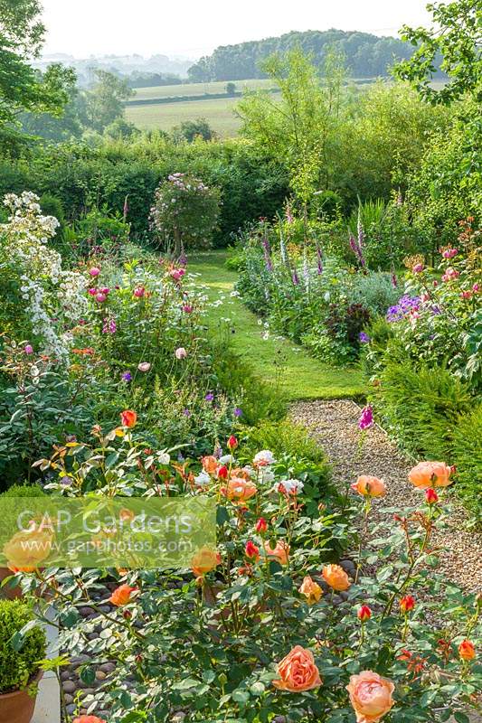 Vue d'un jardin de campagne avec parterres de fleurs doubles remplis de plantes vivaces herbacées et de roses dont Rosa 'Lady of Shalott'