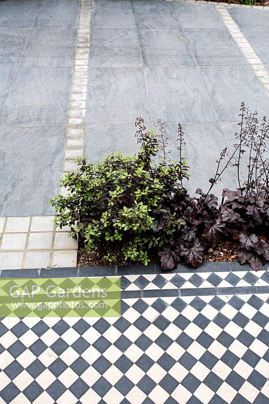 Jardin avant de Londres avec chemin de carreaux de style victorien noir et blanc et allée carrelée. Conçu par Kate Eyre Garden Design.