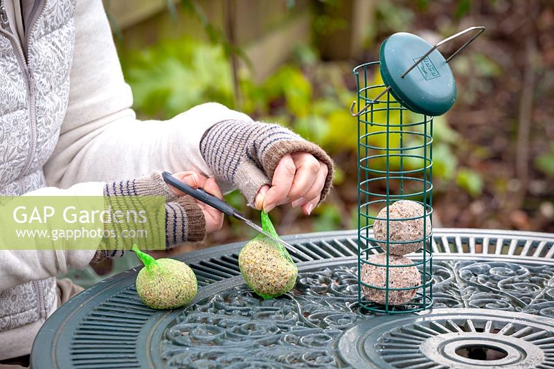 Femme prenant des boules de graisse et remplissant une mangeoire pour les oiseaux.