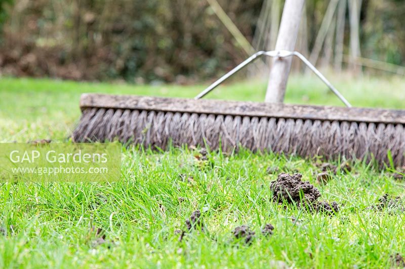 Brossez les moulages de vers séchés sur la pelouse pour les étaler et les empêcher d'être compactés dans l'herbe.