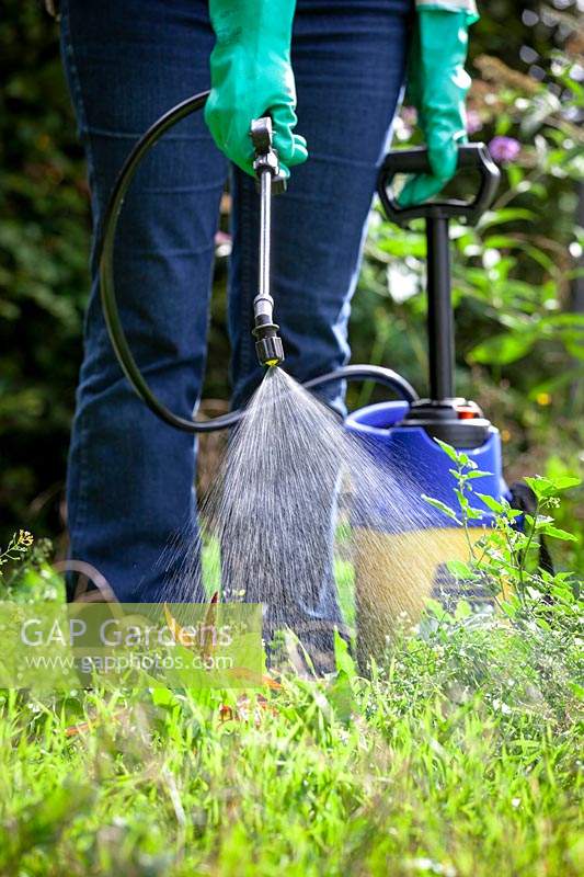 Pulvérisation d'une grande parcelle de mauvaises herbes avec un herbicide à l'aide d'un pulvérisateur