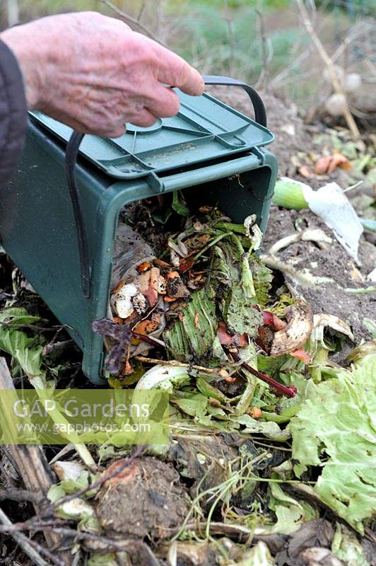Ajout de déchets alimentaires de cuisine au tas de compost