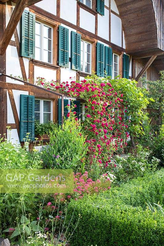 Parterre de fleurs mélangé à l'extérieur de la maison suisse traditionnelle.