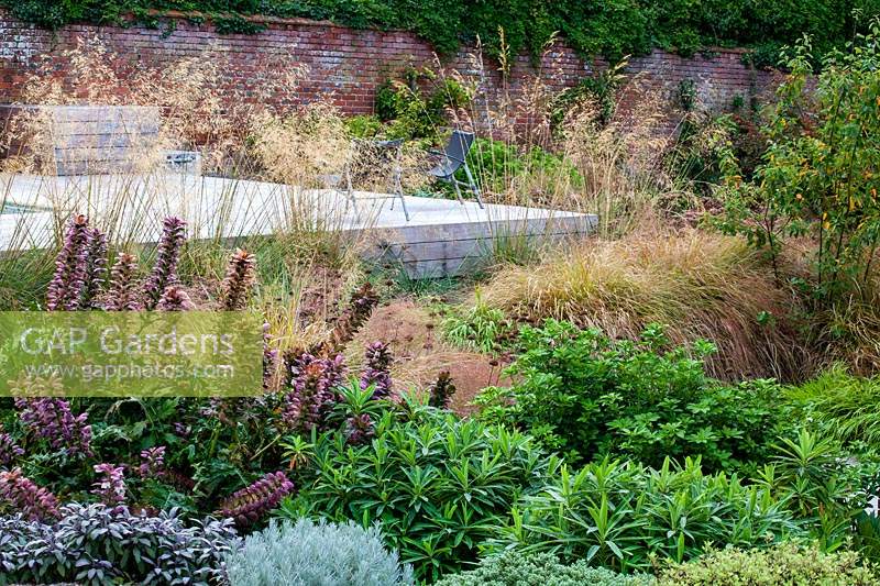 Parterre de plantes vivaces et d'herbes ornementales mixtes dans un jardin contemporain près de Winchester, Hants, UK. Conception du jardin Elks-Smith.