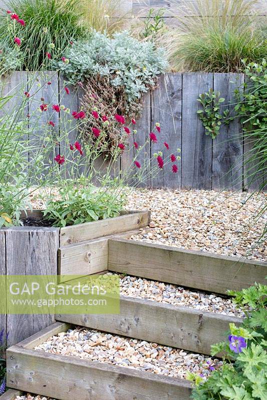 Un jardin de banlieue en pente raide est rendu accessible avec des marches en bois remblayées avec du gravier décoratif. Des murs de soutènement recouverts de bois soutiennent les plates-bandes en terrasses. Wiltshire, Royaume-Uni.