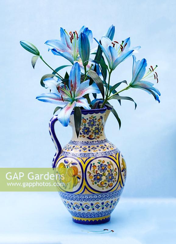 Lys coupés orientaux bleus teints dans un vase décoratif, sur fond bleu.
