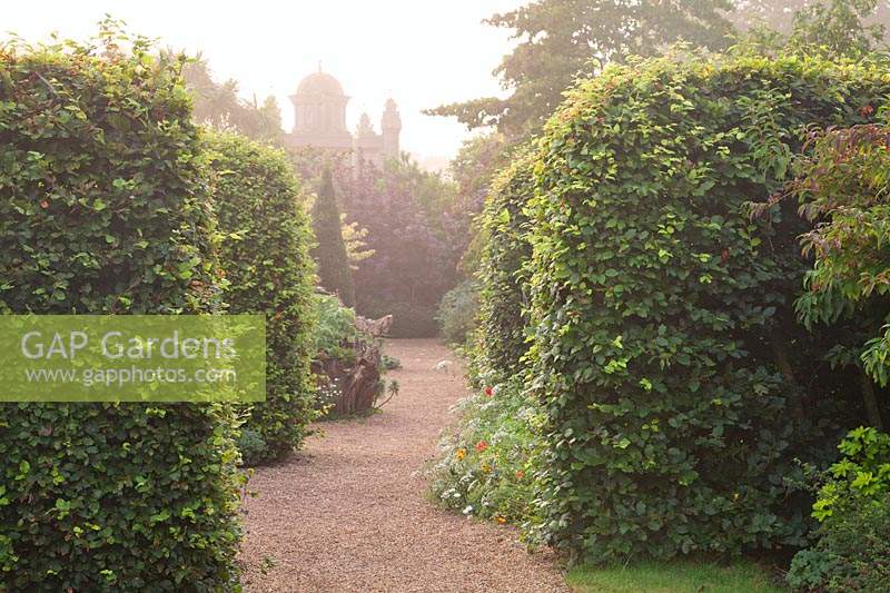 Parcours à travers une couverture formelle en fin de matinée brumeuse d'été. Château d'Arundel, Sussex, UK.