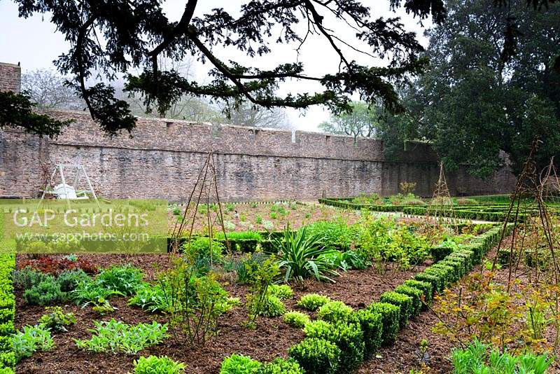 L'East Garden, un espace formel avec une faible couverture d'euonymus, des roses et des plantes herbacées au Bishop's Palace Garden, Wells, Somerset, UK