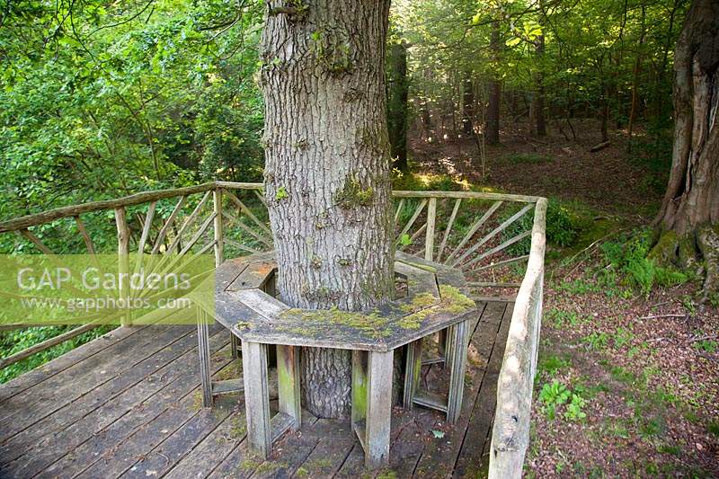 Plate-forme d'observation en bois de nid de pie avec banc enveloppant. Copyhold Hollow, Sussex, Royaume-Uni.