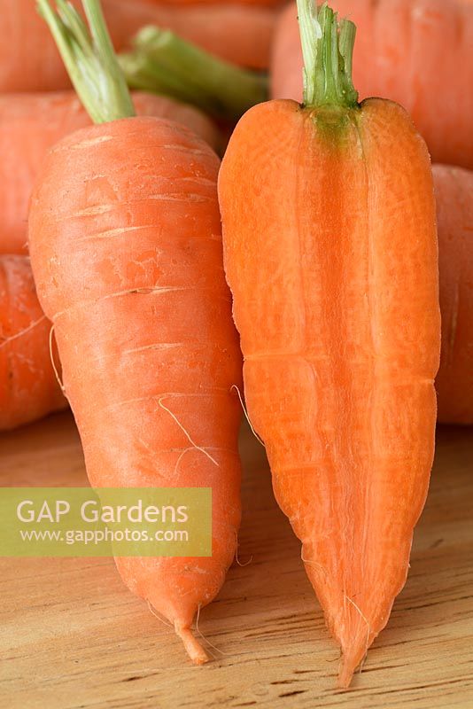 Daucus carota 'Short' n Sweet 'Carot syn.' Burpees Short n Sweet '- carotte, carottes levées lavées et coupées en deux verticalement