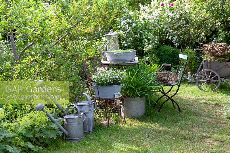Décoration de jardin vintage avec pots en étain, chaises anciennes et vieux arrosoirs