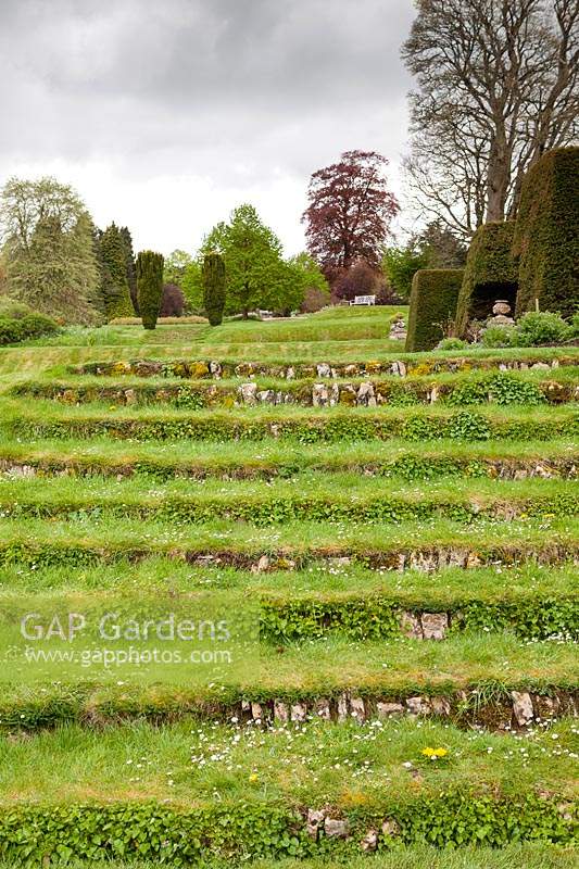Marches gazonnées. Jardin Miserden, près de Stroud, Gloucestershire, Royaume-Uni.
