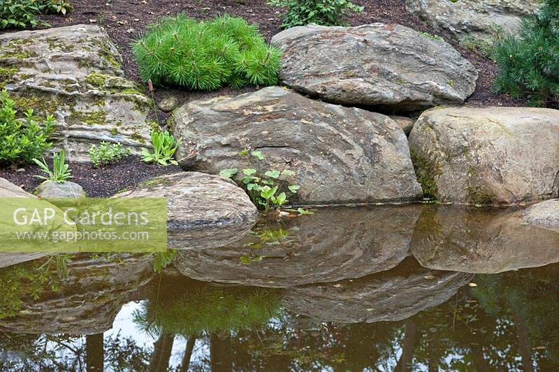 Réflexions de rochers dans l'étang.