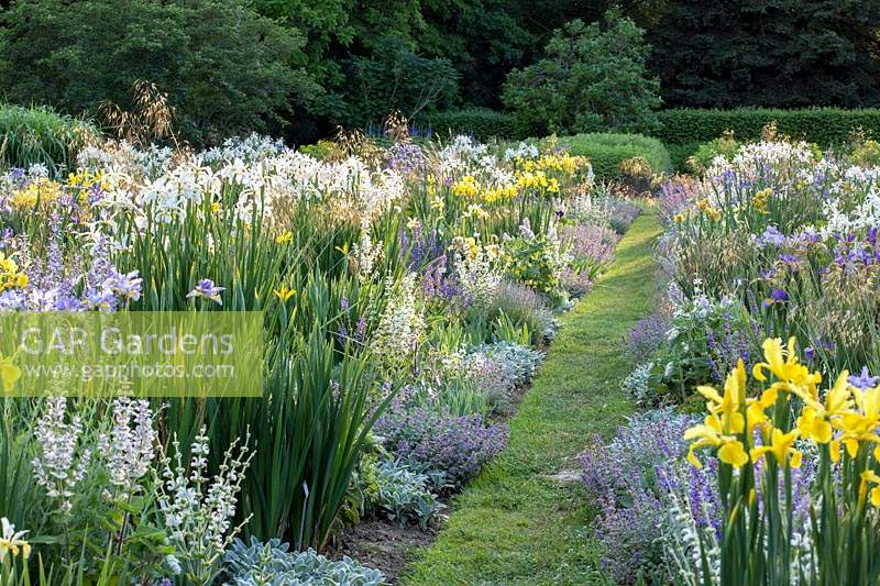 Chemin d'herbe entre deux parterres d'iris plantés d'autres plantes vivaces à fleurs