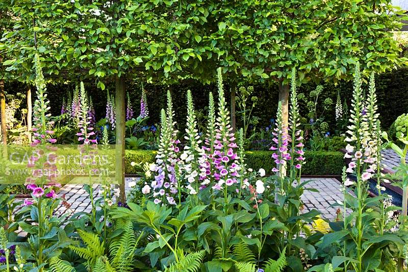 Des digitales, des fougères et des charmes pêchés à l'appui, le jardin Husqvarna. RHS Chelsea Flower Show