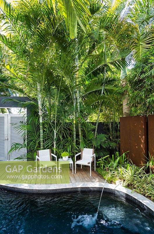 Ensemble de chaises de jardin et table sur terrasse en bois en bois au bord de la piscine, entourée de palmiers tropicaux. Résidence Von Phister, Key West, Floride, USA. Conception de jardin par Craig Reynolds.