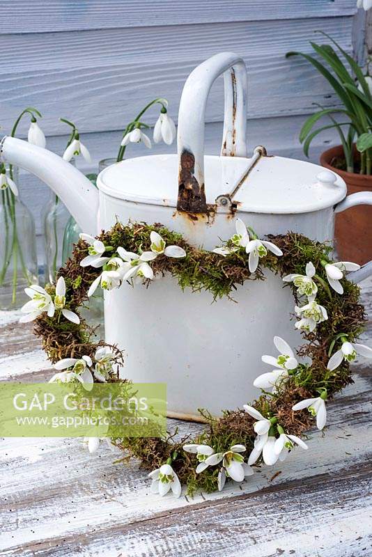 Couronne en forme de cœur moussé ornée de fleurs de Galanthus - Perce-neige - appuyée contre un arrosoir rouillé et blanc.