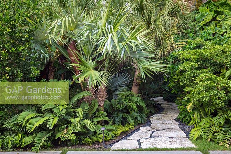 Parterre de fleurs tropicales mixtes dans le jardin. La résidence Jones, Key West, Floride, USA. Conception de jardin par Craig Reynolds.