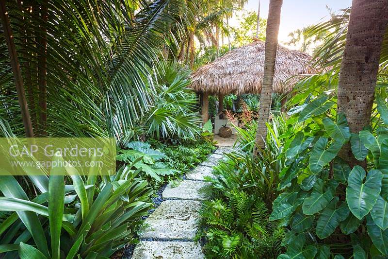 La cabane chickee dans le jardin tropical. La résidence Jones, Key West, Floride, USA. Conception de jardin par Craig Reynolds.