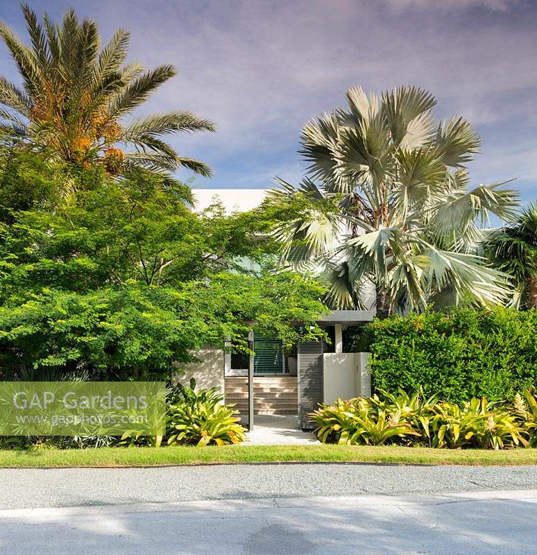 La résidence Jones, Key West, Floride, USA. Conception de jardin par Craig Reynolds.