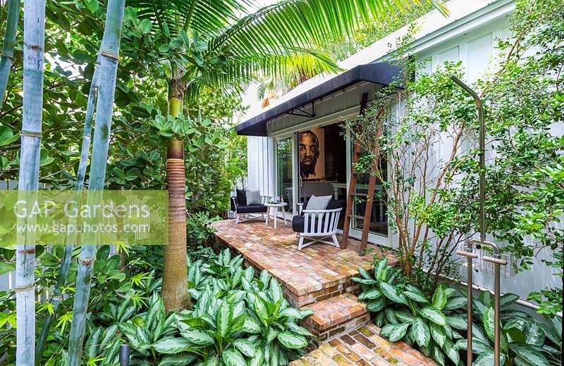 Vue de la plantation tropicale de chaque côté des marches en brique jusqu'à une petite terrasse à l'extérieur de la maison. Les plantes comprennent: Bambusa chungii - Bambou bleu, Satakentia liukiuensis - Palmier, couvre-sol panaché d'Aglaonema 'Silver Queen '.