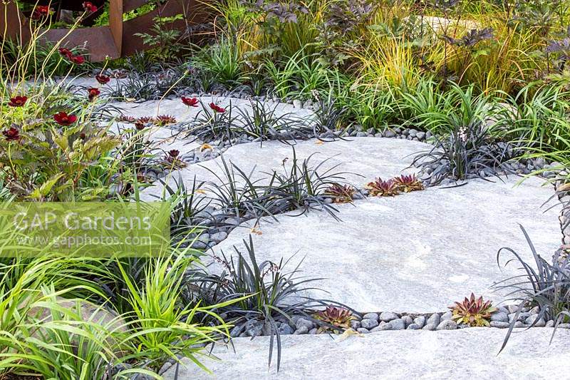 Tremplin avec Ophiopogon nigrescens, Sempervivum et galets décoratifs dans le 'Elements Mystique Garden', sponsorisé par Elements Garden Design