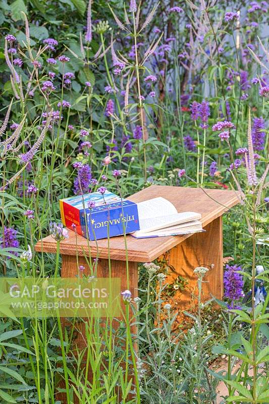 Banc en bois avec livre entouré de Verbena bonariensis, Agastache 'Blackadder' et Veronicastrum virginicum 'Fascination' dans 'Southend Young Offenders ': A Place to Think 'garden