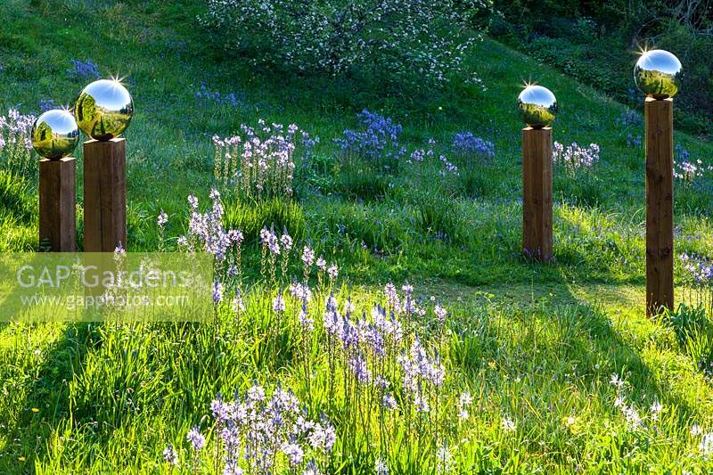 Voir le pré en pente avec Camassia subsp. leichtlinii et globes de miroir en acier inoxydable montés sur des poteaux en bois