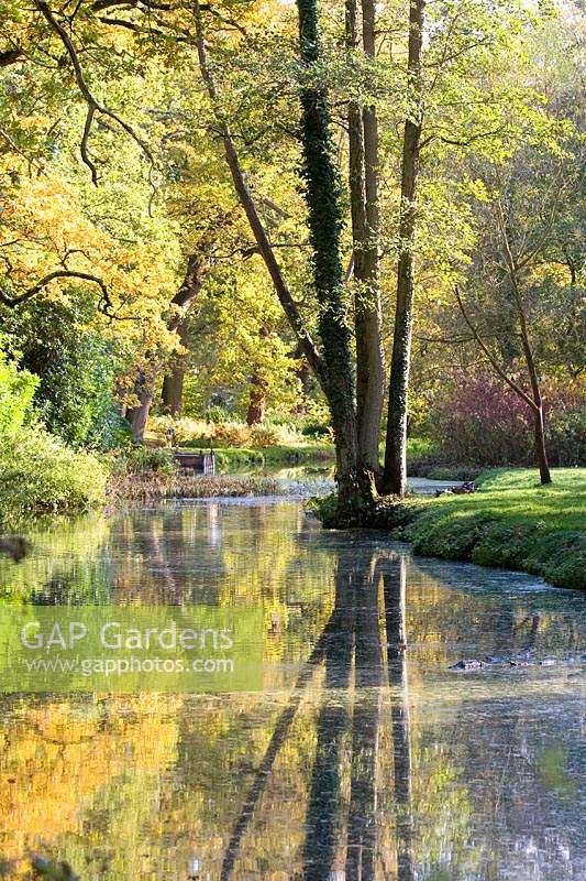 Feuilles d'automne à Fairhaven Water Gardens, Norfolk