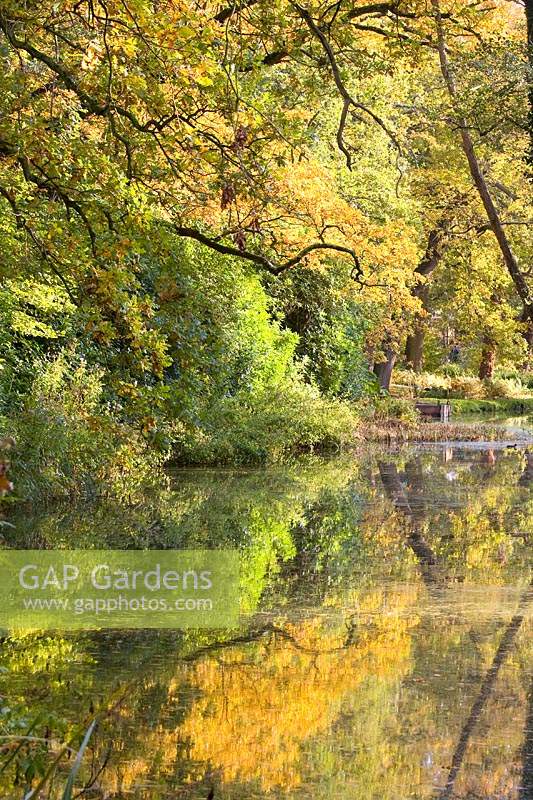 'Autumn 'feuilles et reflets d'arbres au Fairhaven Water Gardens Norfolk, Royaume-Uni