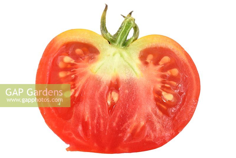 Solanum lycopersicum 'Totem' Tomato Syn. Lycopersicon esculentum avec trouble du billet vert - Coupé en deux