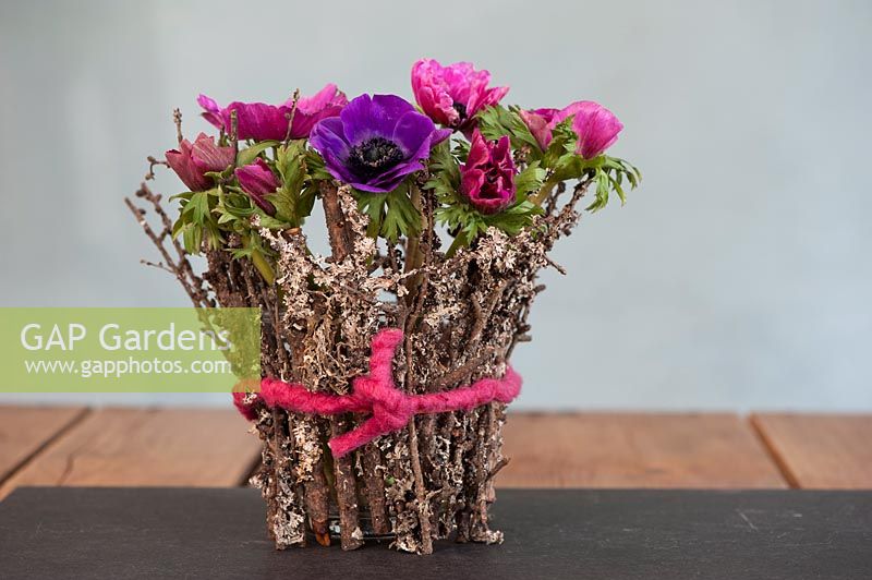 Anémone coronaire rose et violette exposée dans un vase, décorée de branches de mousse ou de lichen.