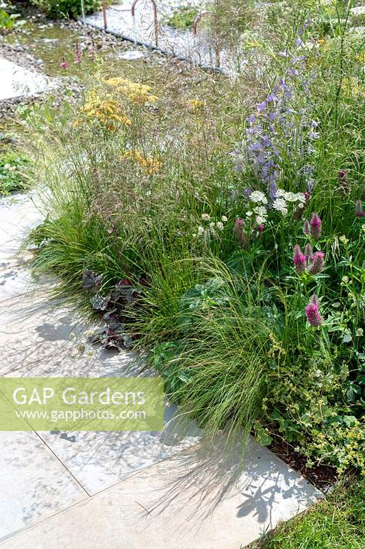 Plantation de pollinisateurs dans le jardin The Urban Pollinator, conçu par Caitlin McLaughlin, parrainé par Warner ' s, RHS Hampton Court Palace Garden Festival, 2019.