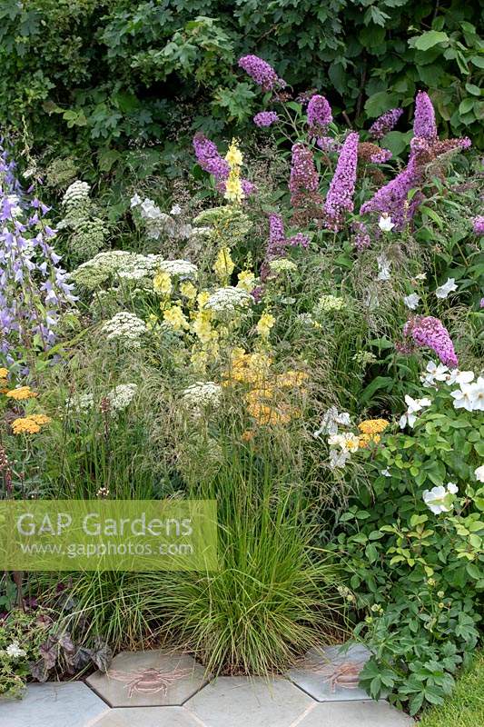 Plantation de pollinisateurs dans le jardin The Urban Pollinator, conçu par Caitlin McLaughlin, parrainé par Warner ' s, RHS Hampton Court Palace Garden Festival, 2019.