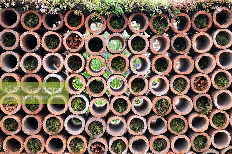 Mur de tuyaux de drainage en argile, avec album Sedum et mousse dans le Very Hungry Caterpillar Garden, RHS Tatton Park Flower Show, 2019.