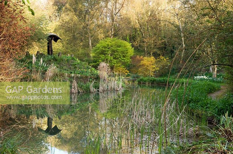 Vue sur l'étang et les bois environnants à Abbey House Gardens, Malmesbury, Royaume-Uni.