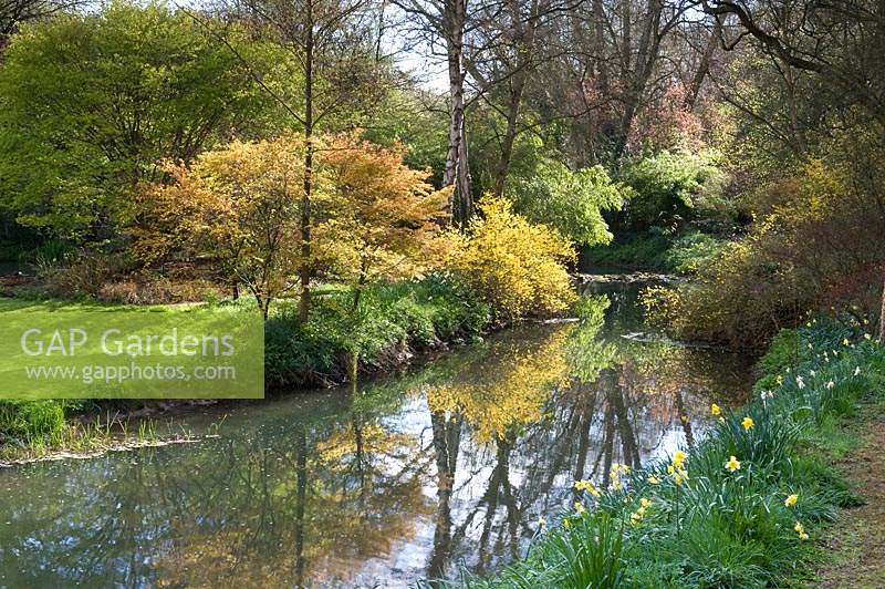 Vue sur la rivière Avon et la plantation de forêts environnantes à Abbey House Gardens, Malmesbury, Royaume-Uni.