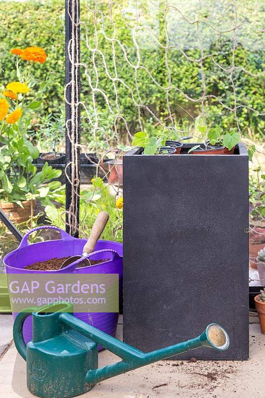 Outils et matériaux prêts à planter des cucamelons dans de grandes jardinières carrées noires.