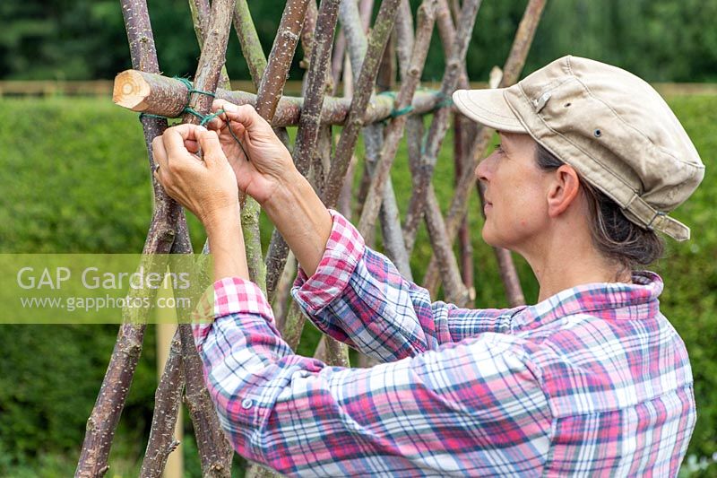 Femme attachant des montants à la barre transversale - structure de noisettes pour la culture de haricots grimpants