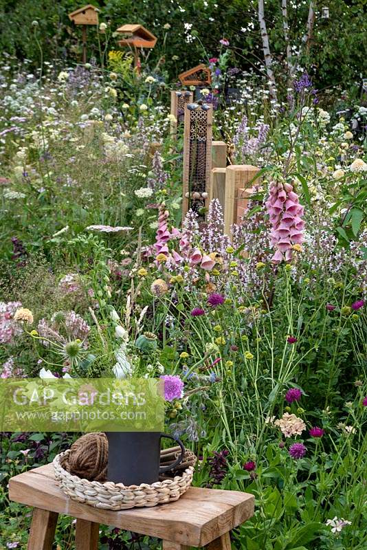 Une ligne d'hôtels d'insectes entourés de vivaces à fleurs dans le jardin BBC Springwatch, RHS Feature Garden, RHS Hampton Court Palace Garden Festival, 2019.