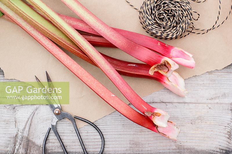 Tiges fraîchement récoltées de rhubarbe comestible avec des ciseaux, de la ficelle et du papier d'emballage sur une table en bois