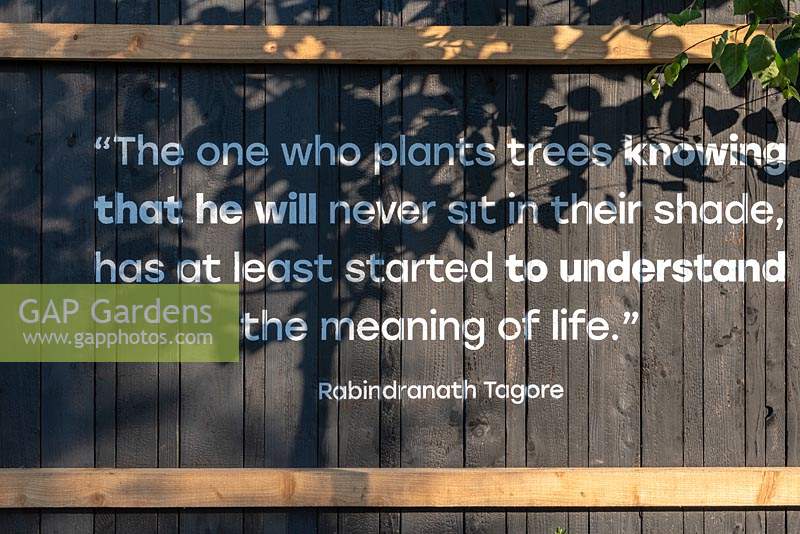 Une citation de Rabindranath Tagore, concernant la relation de l'homme avec les arbres.