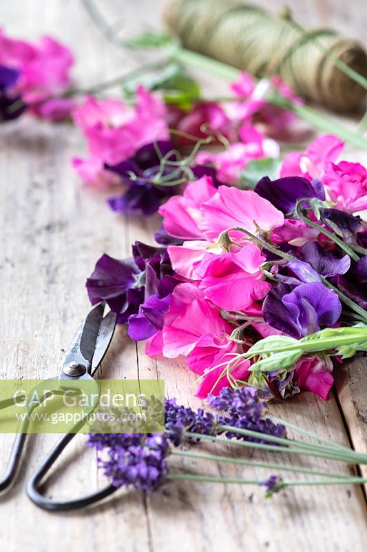 Lathyrus odoratus - Fleurs de pois coupés 'Jenny' et 'Arianne' sur une table en bois