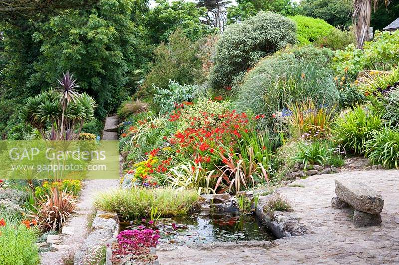 Un étang englouti dans le coin de la terrasse avec un chemin menant au-delà de parterres de fleurs luxuriants en pente. La plantation comprend des cordylines, des phormiums, Crocosmia 'Lucifer', des herbes et des euphorbes.