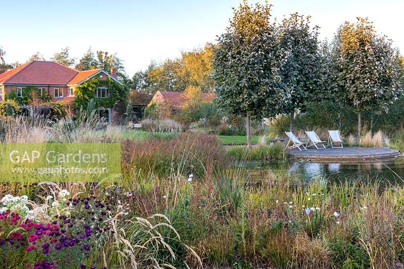 Vue sur étang naturel et parterres de fleurs informels à Ellicar Gardens, Doncaster, Royaume-Uni.