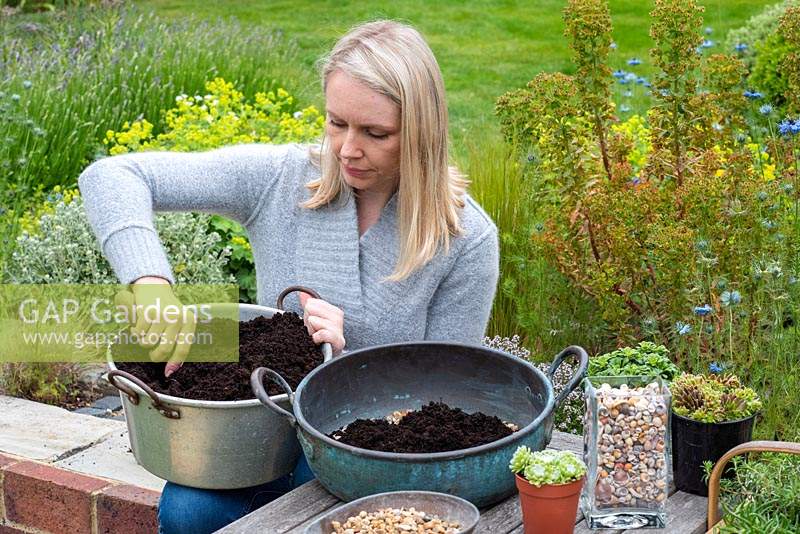 Étape par étape, plantez des plantes succulentes dans un bol en cuivre vintage. Étape 3: le bol est partiellement rempli de compost polyvalent mélangé à un tiers de gravier horticole.